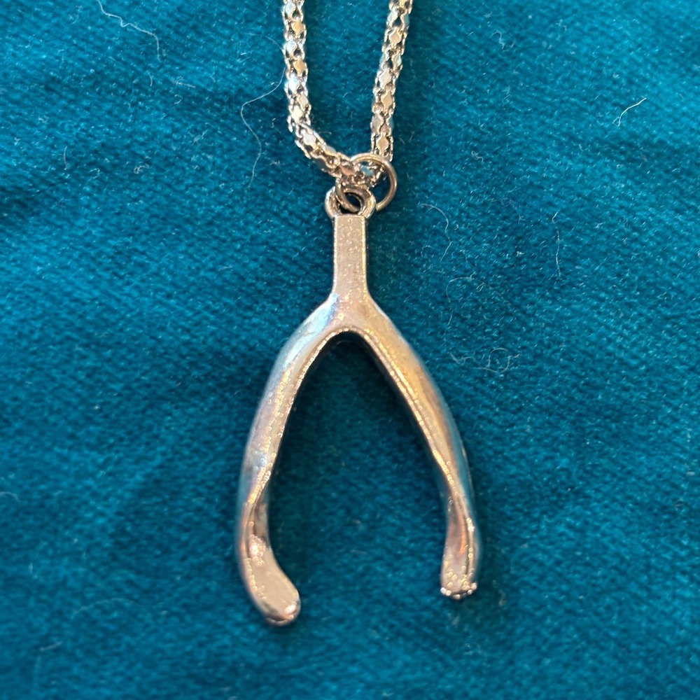 Stauer Vintage Wishbone Pendant Necklace Silver Tone Textured Chain